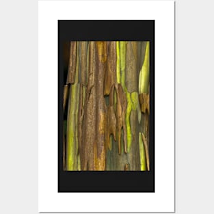 Green Bark 2 Posters and Art